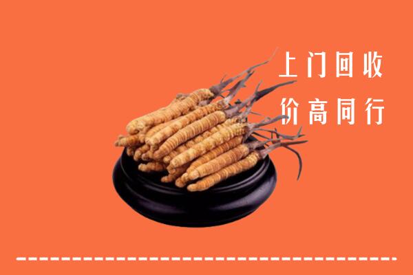 高价求购：余庆县回收散虫草