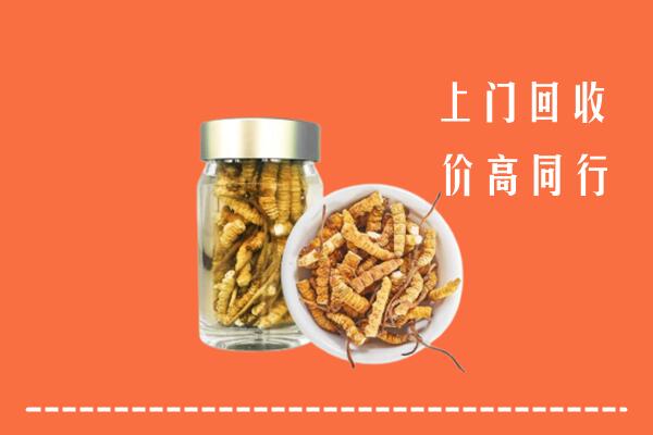 余庆县回收冬虫夏草